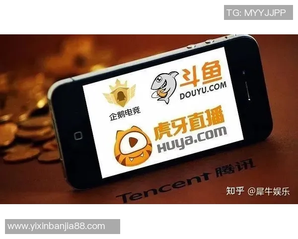 巴基斯坦电竞禁令解除后市场迅速回暖迎来前所未有的增长机遇